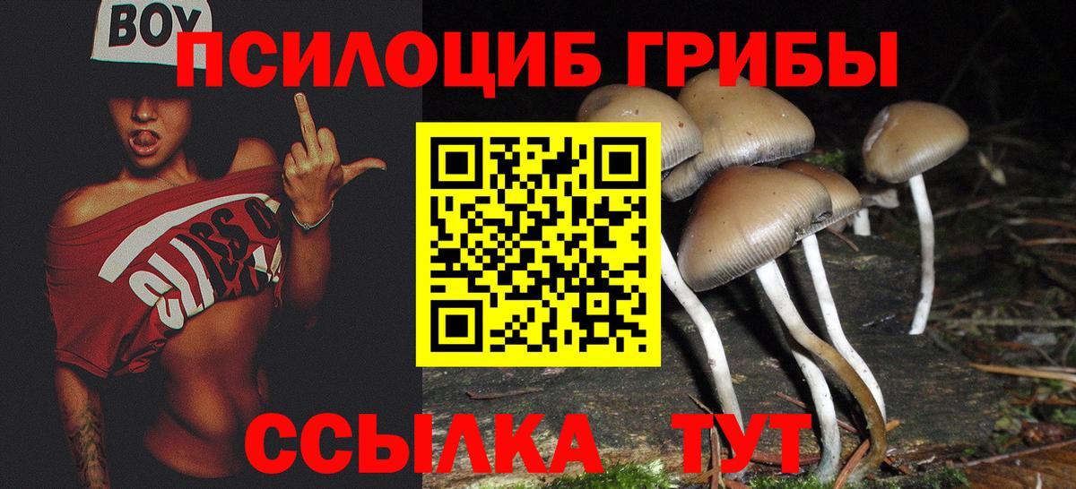 Галлюциногенные грибы Cubensis  Галлюциногенные грибы мицелий  Вход с VPN  Ишимбай 